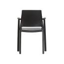 Silla Dock con brazos